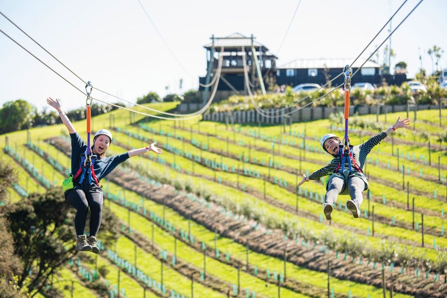 EcoZip_VINEYARD__2_GIRLS.d2dcf62a.jpg
