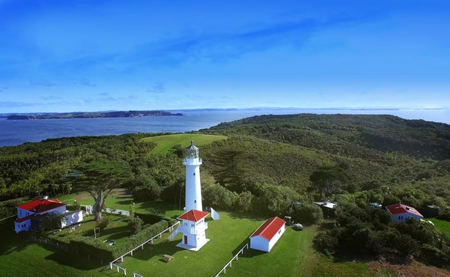 Tiritiri Matangi Island, Auckland, New Zealand