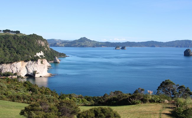 Coromandel, New Zealand
