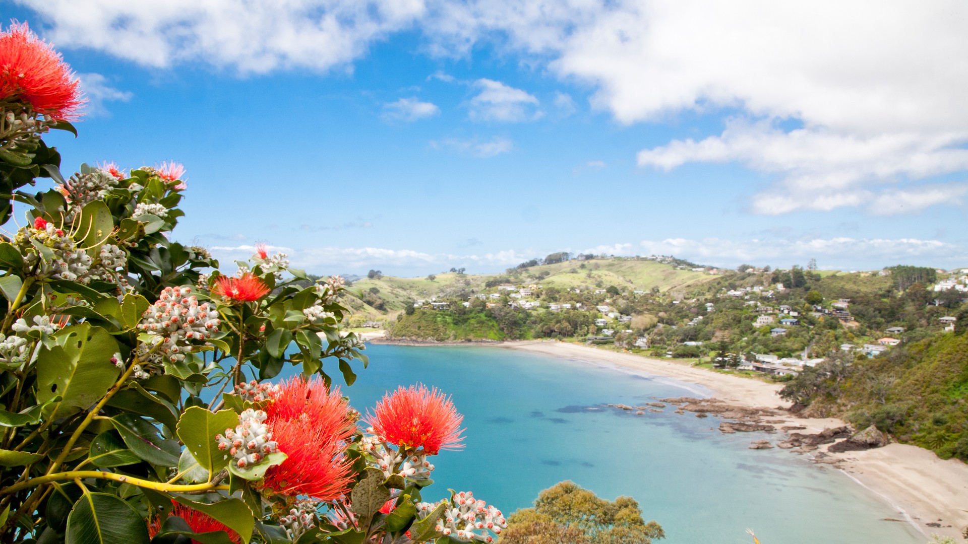 Hopon Hopoff Waiheke Tour Landing.jpg