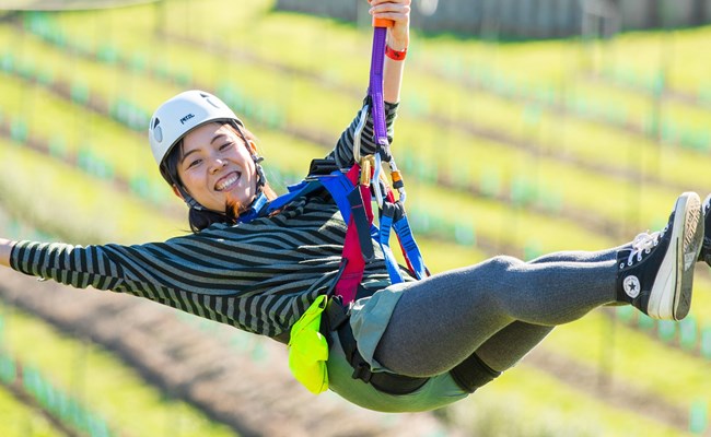Ferry + Ecozip Adventure Tour. Waiheke zipline