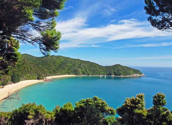 Coromandel Newchums Tour Landing.jpg