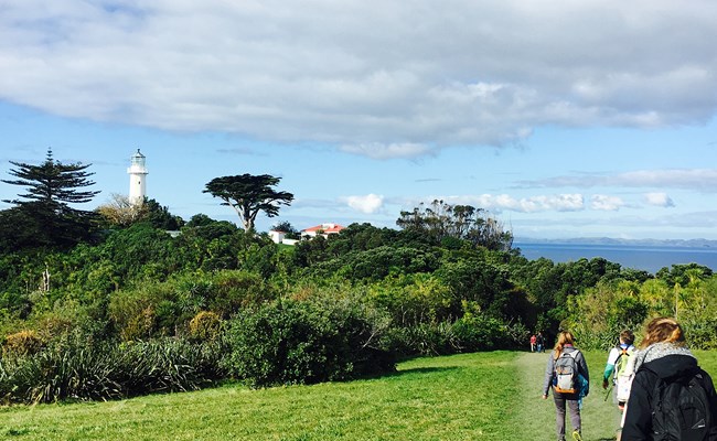 Tiri Walking Track Landing.jpg