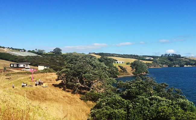 Waiheke Walking Track Landing.jpg