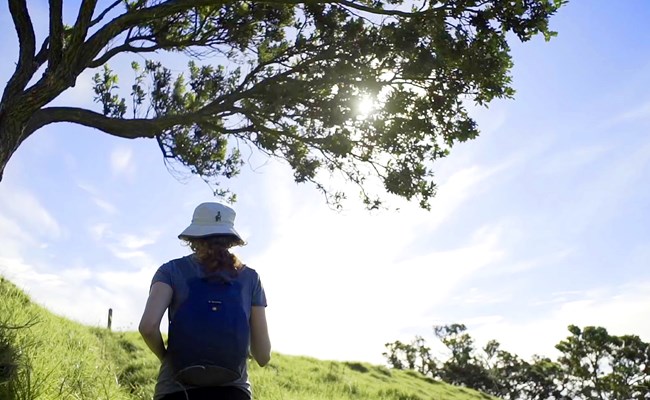 Coromandel Walking Track Landing.jpg