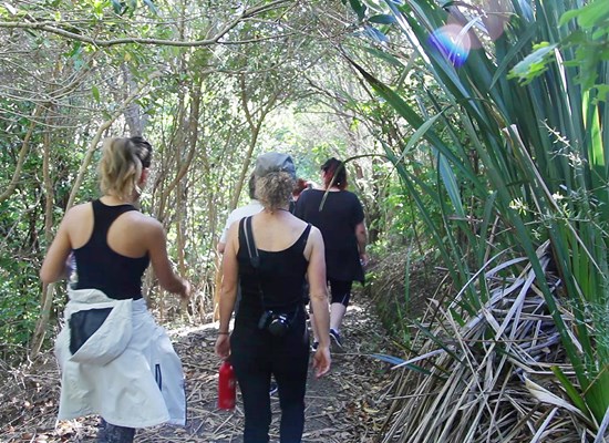 Motutapu Walking Track Landing.jpg