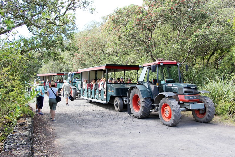 Image Experiences Landing.jpg