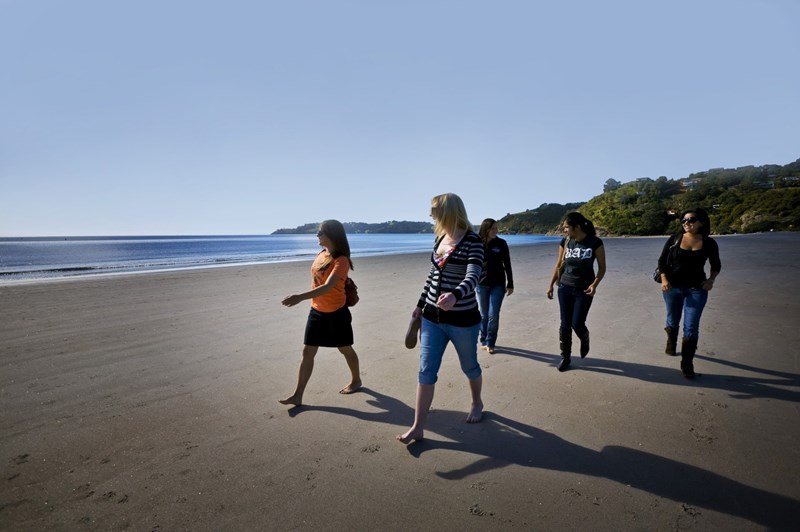 Image Waiheke Island Beach.jpg