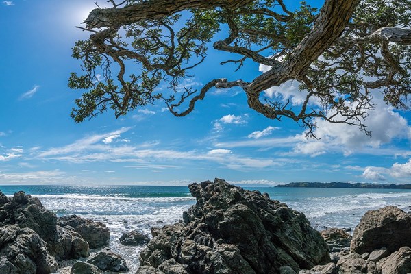 Waiheke Island, Auckland