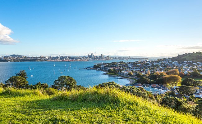 Mt Victoria Walk.jpg