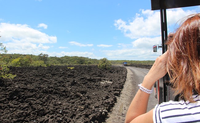 Rangitoto road train.jpg