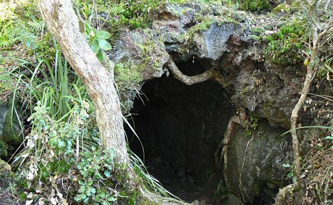 Lava Caves.jpg