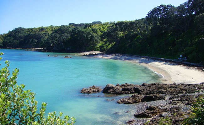 Image result for tiritiri matangi