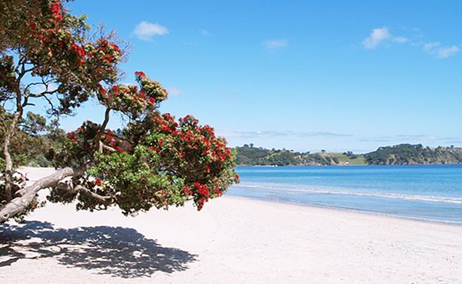 Onetangi beach.jpg