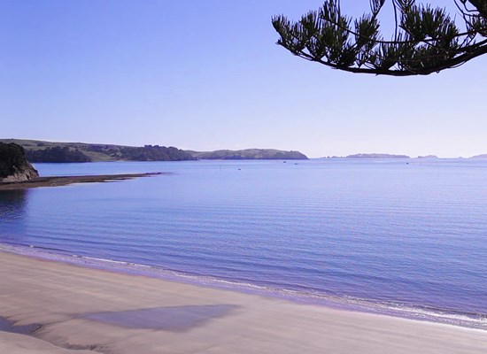 Motutapu views.jpg