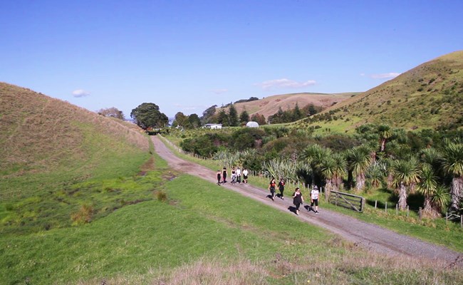 Motutapu walks_we recommend.jpg