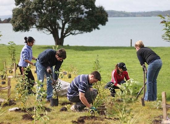 planting-motutapu-island.jpg