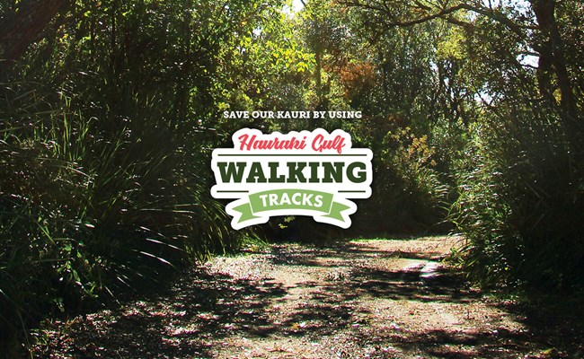Walking Tracks in Auckland - Fullers360