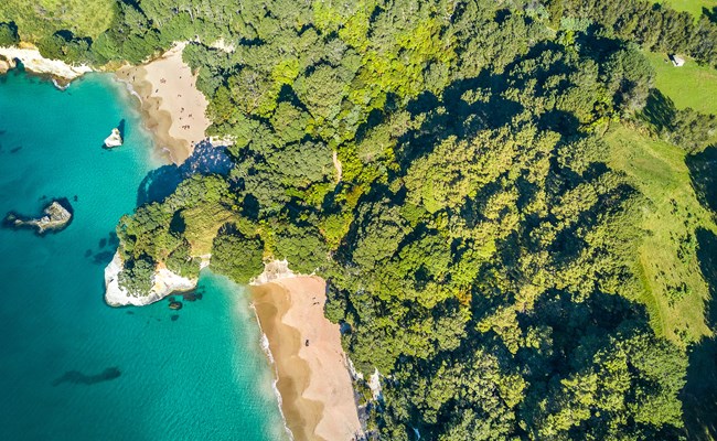 coromandel_beach.jpg