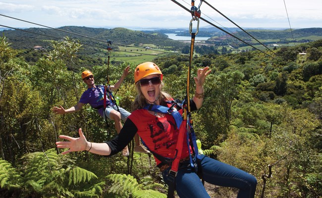 Waiheke Island Ecozip - Fullers360