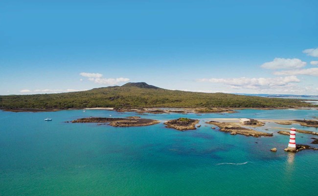 Rangitoto Island – Volcano summit walking track & tours