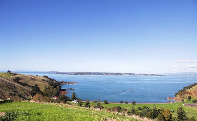 Motutapu Island – Walking trails, camping and beaches