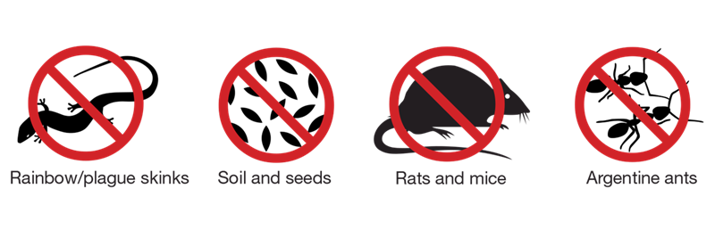 Image Biosecurity Pest Icons.png