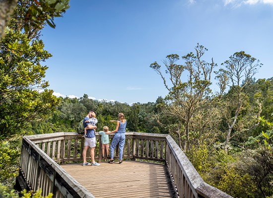 Summit Walk - Rangitoto Island