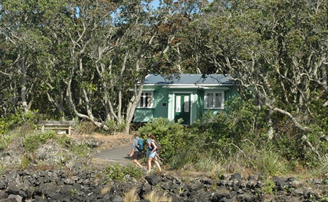 Bach 38, Rangitoto Island