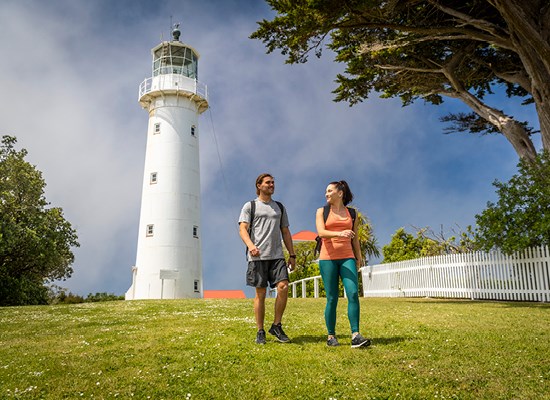 Guided Walk - Tiritiri Matangi Island