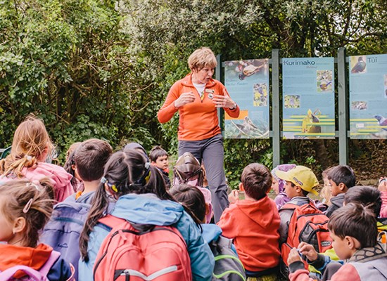 School groups, Fullers360