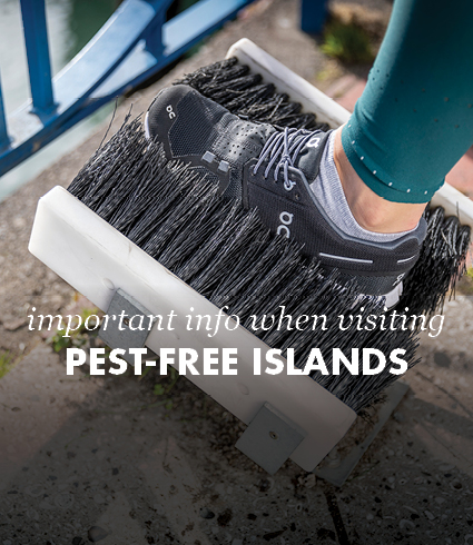 Auckland pest free islands - Fullers360