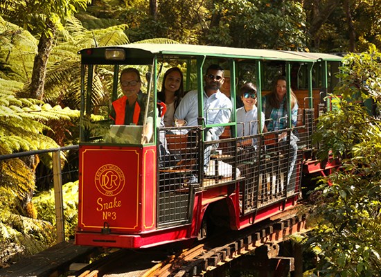 Coromandel Peninsula Driving creek railway - Fullers360