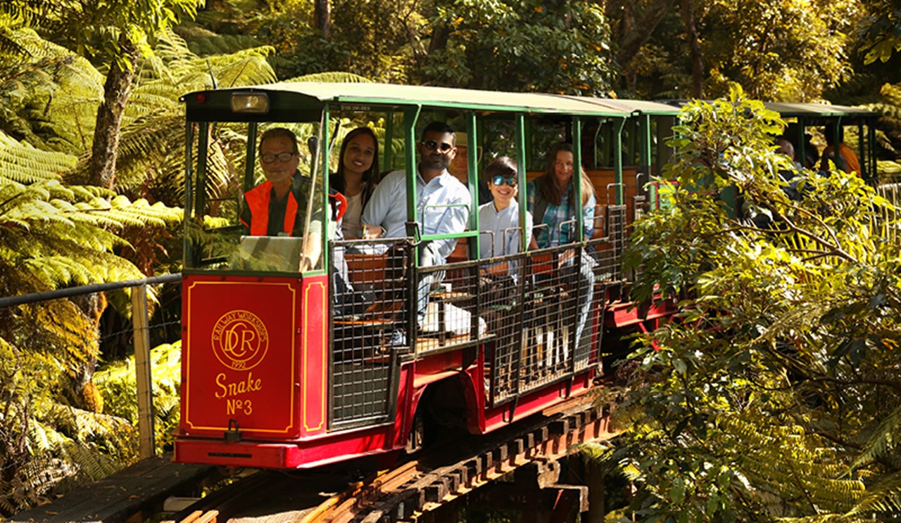 Coromandel Peninsula Driving Creek Railway Explorer Fullers360