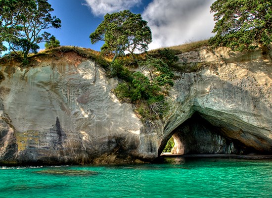 Coromandel peninsula classic tour - fullers360