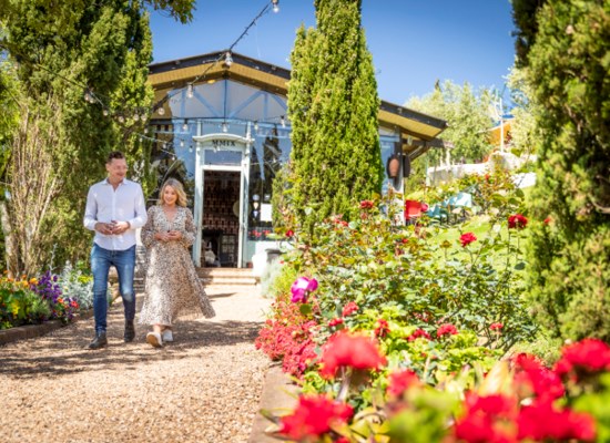 Waiheke Island Summer Wine and dine