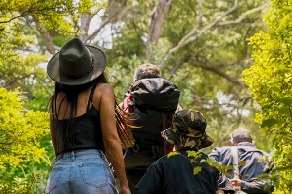 rotoroa island family deal - things to do in auckland