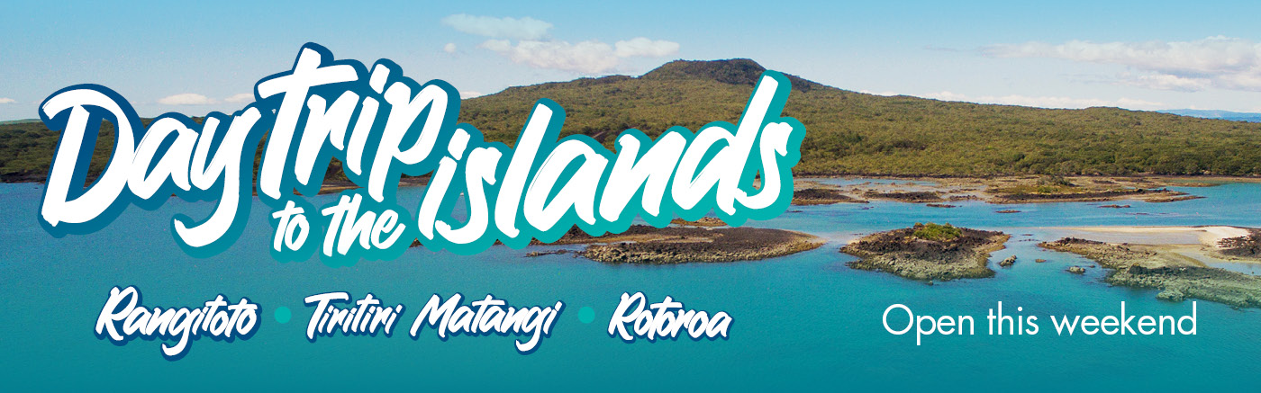 Tiritiri Matangi island things to do in auckland