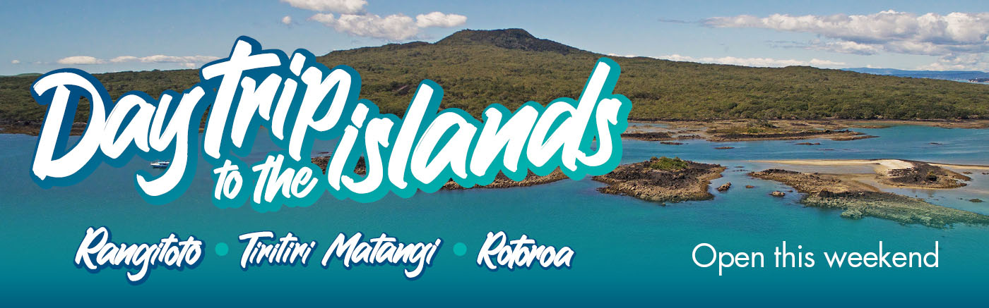 Tiritiri Matangi island things to do in auckland