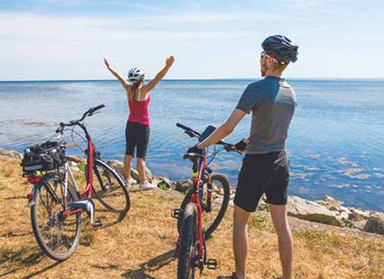 waiheke island bike hire