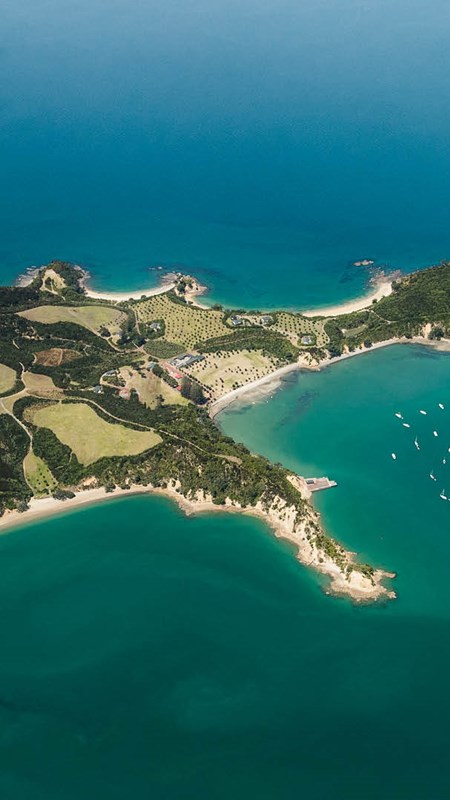 Rotoroa Island ferry header image 2.jpg