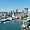 Auckland City to Rangitoto Island - Adult