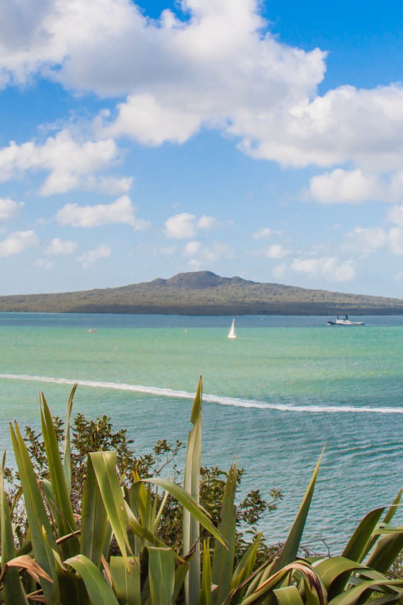 Auckland city views - Fullers360.jpg