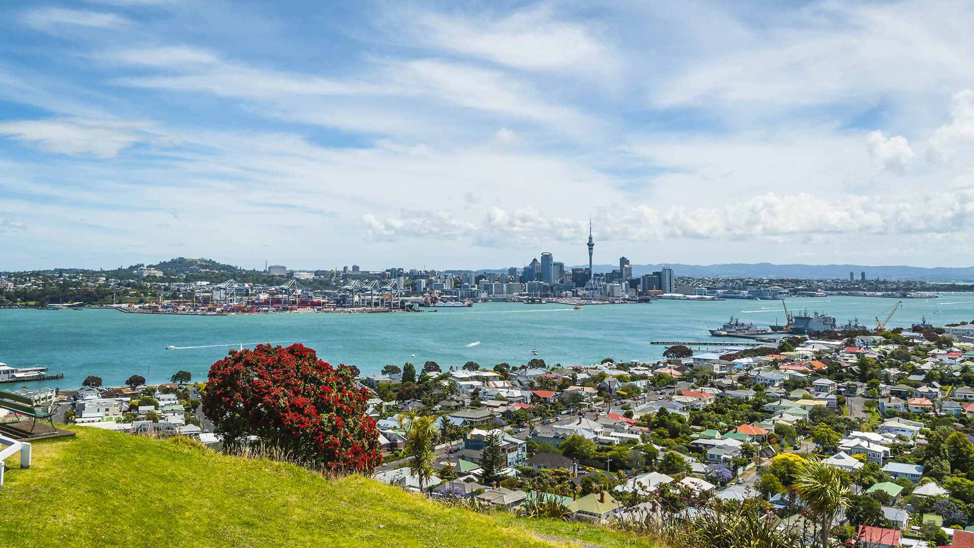 Auckland city devonport - Fullers360.jpg
