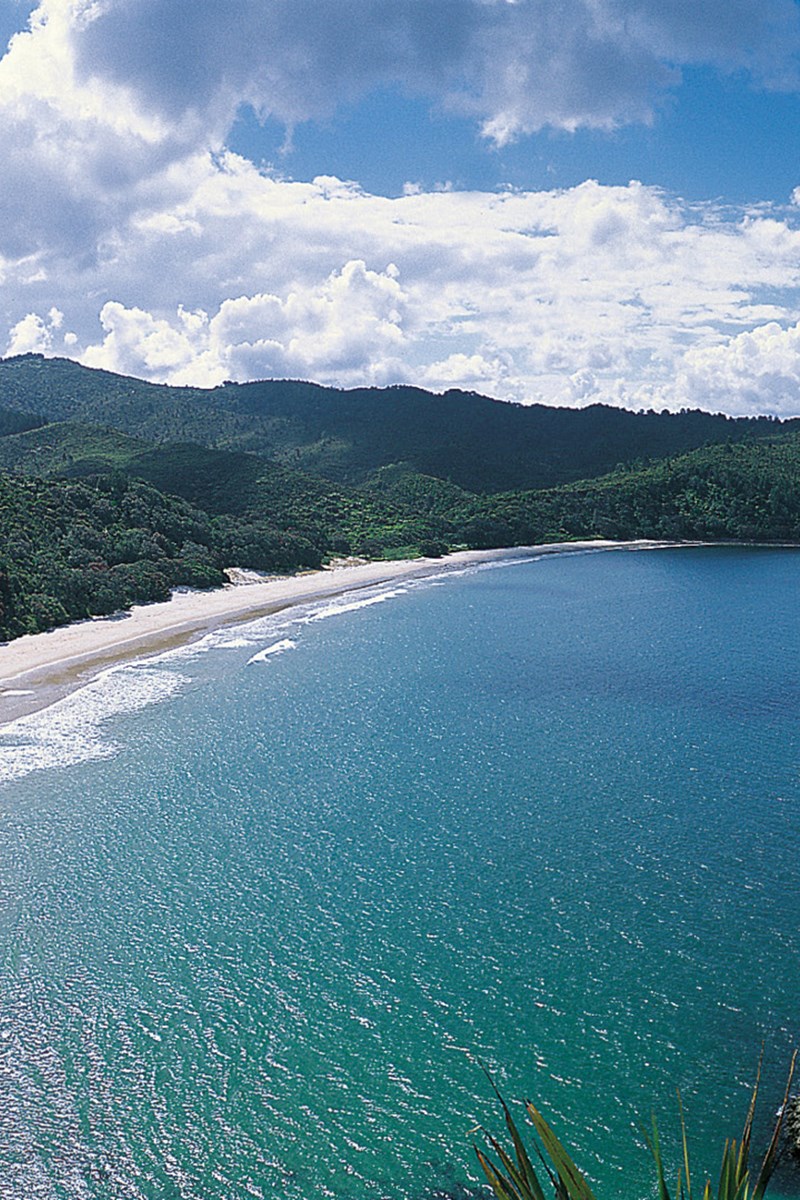 Coromandel 3.jpg