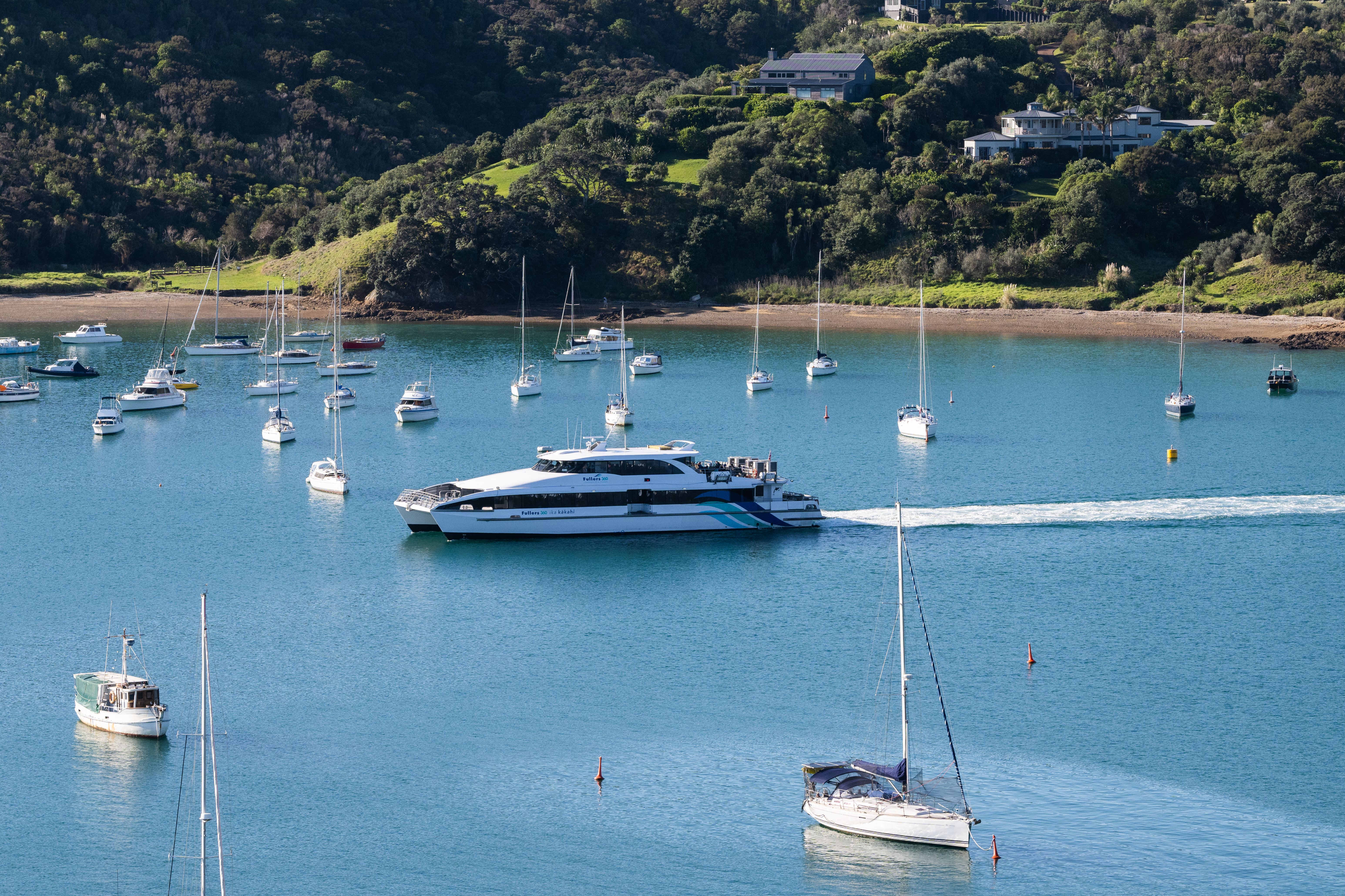 MicrosoftTeams-image (6).png