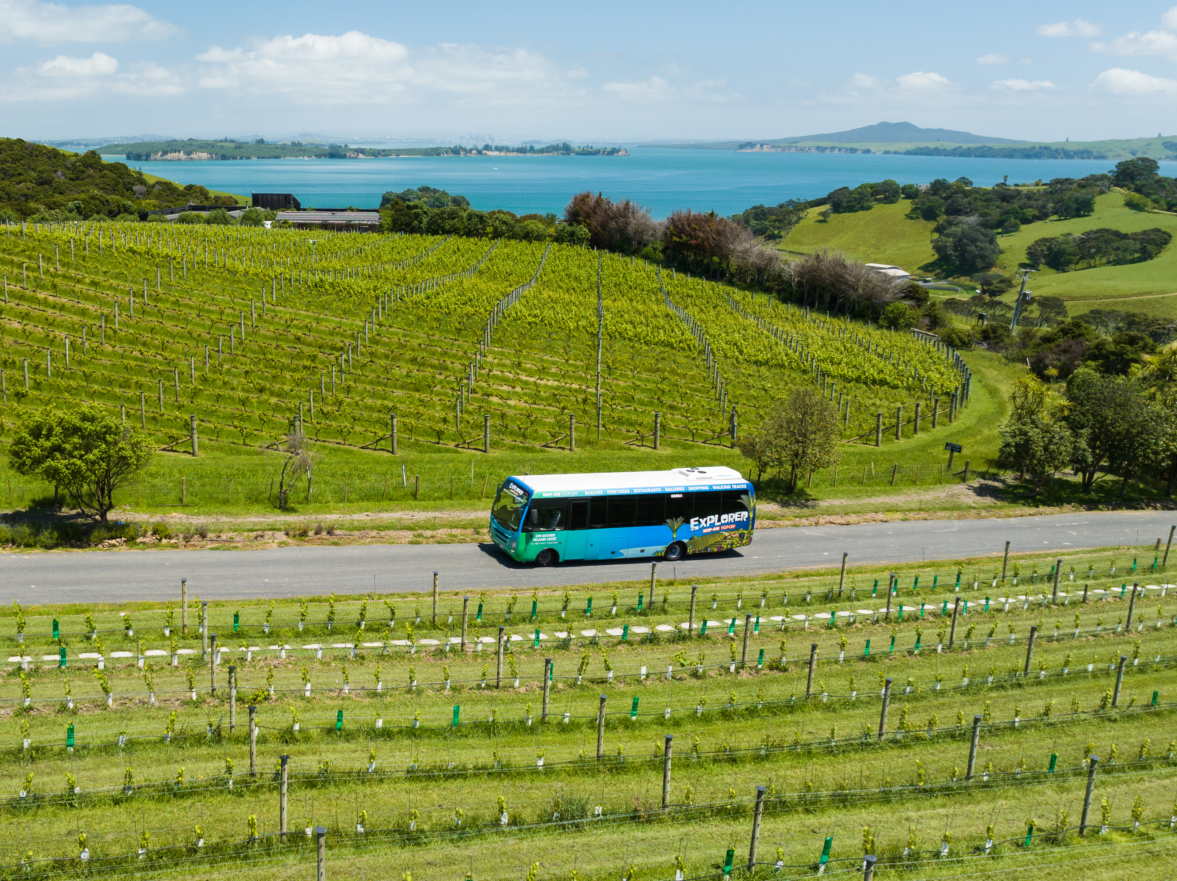 Waiheke Bus Company.jpg