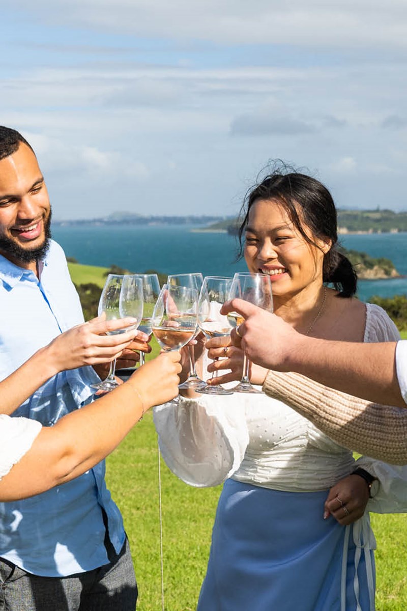 Vineyard Explorer Cable Bay Vineyard Group.jpg