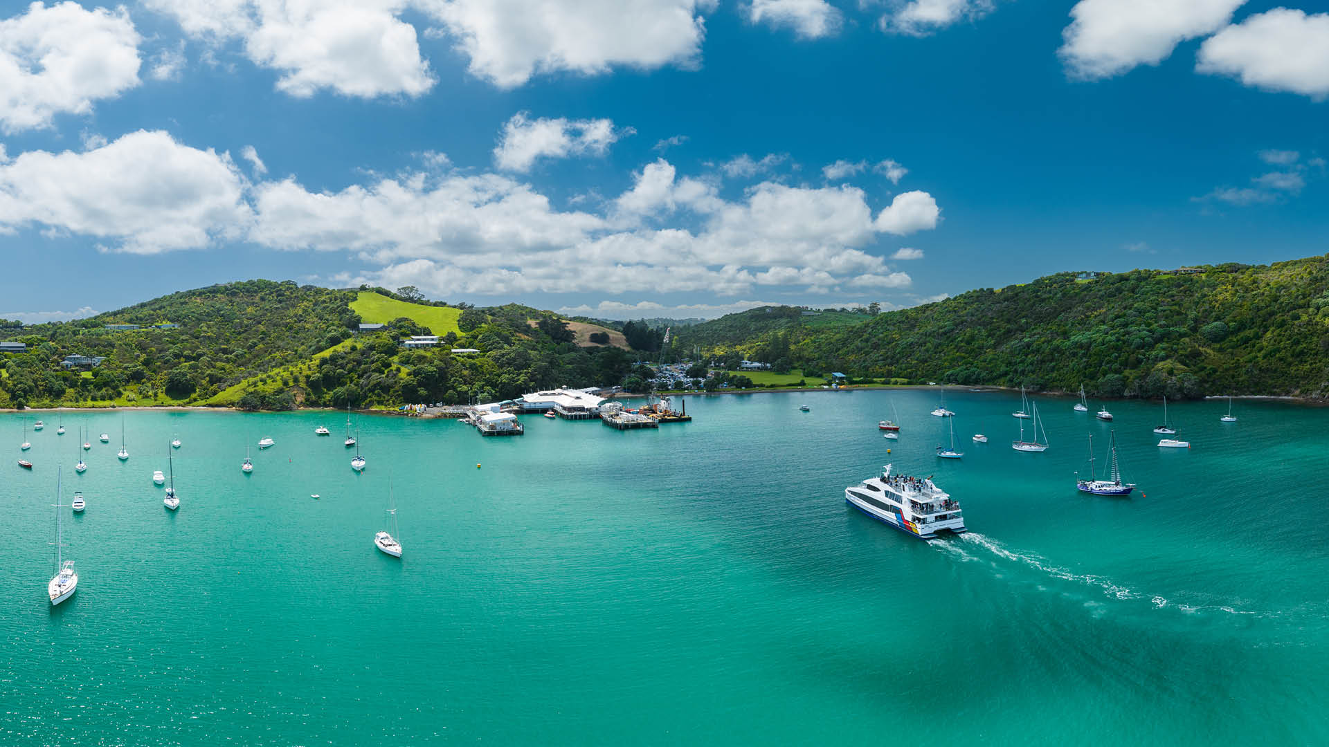 Waiheke Island deals