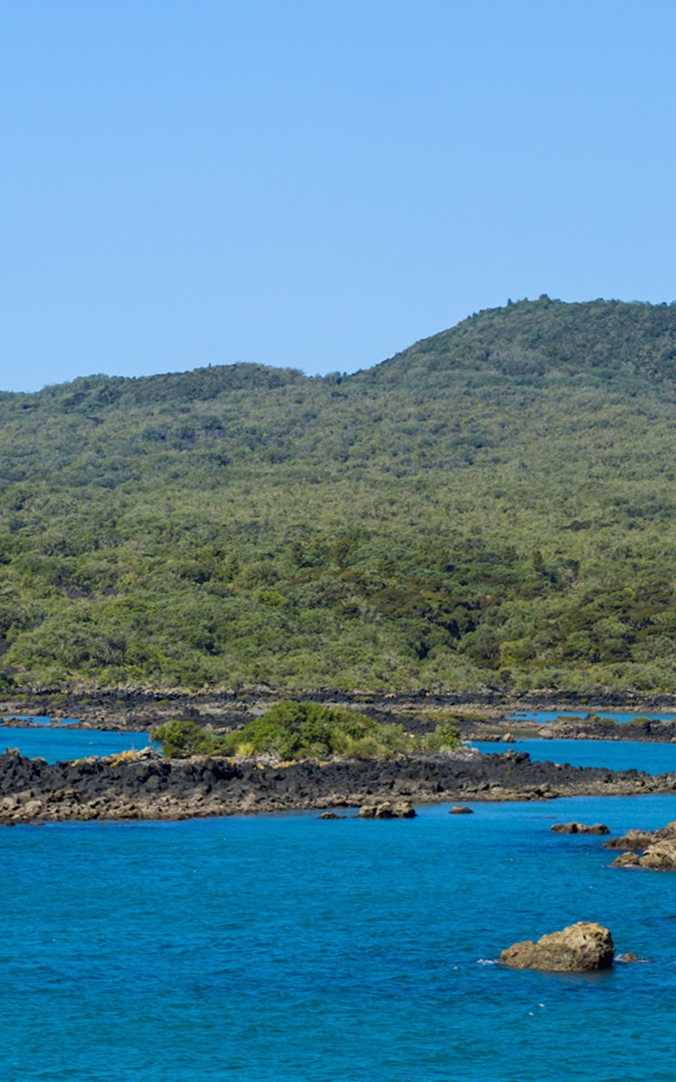 Website Enhancement images - Rangitoto12.jpg